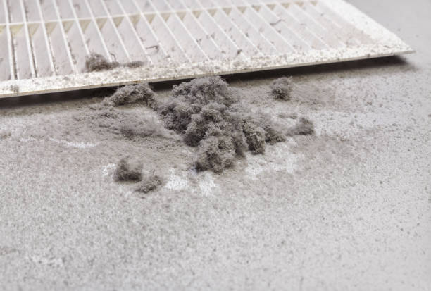 Best HVAC Maintenance and Cleaning  in Risg Sun, IN
