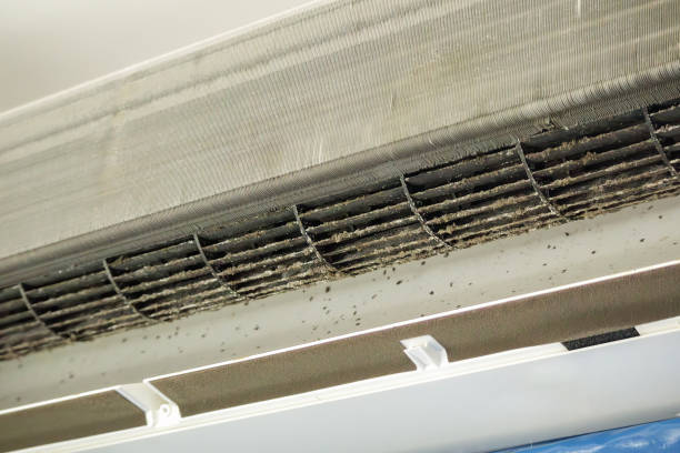 Best Dryer Vent Cleaning Services  in Risg Sun, IN